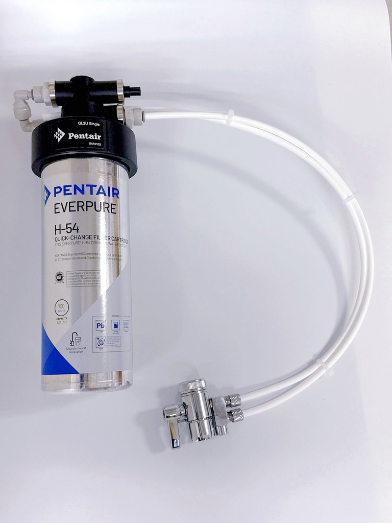 Everpure-H54-Set-Water-Diverter